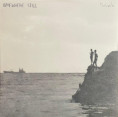 VICTROLA - somewhere still (045 '25) 12"EP 28,00